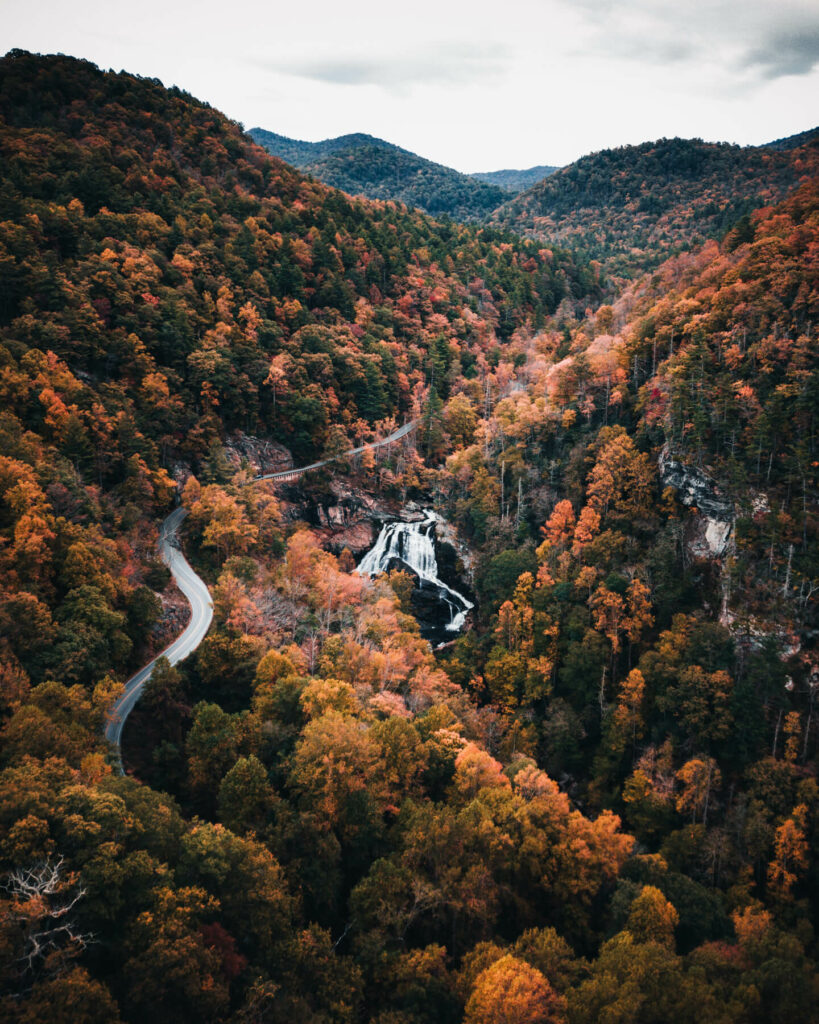 Asheville tourism SEO Blueridge parkway